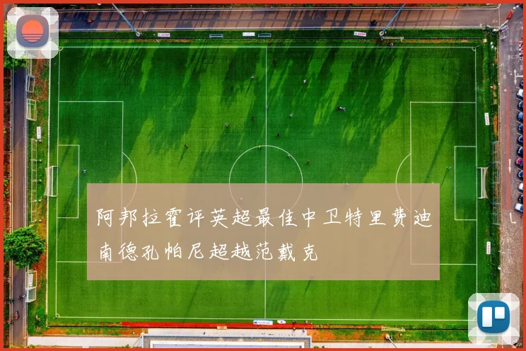 阿邦拉霍评英超最佳中卫特里费迪南德孔帕尼超越范戴克