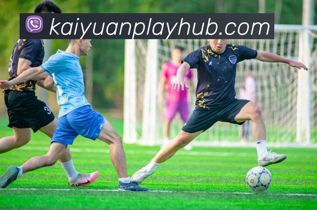 数据防护可视化